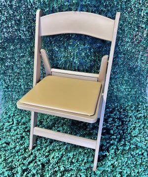GOLD RESIN CHAIR