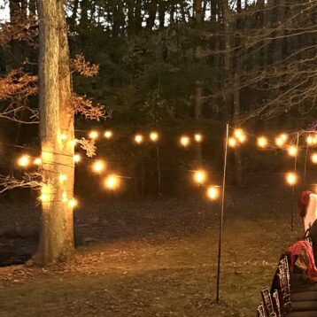 10' STRINGLIGHT POLE STEPSTAKE