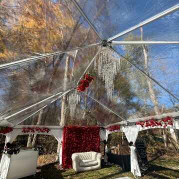 20X40 CLEAR FRAME TENT